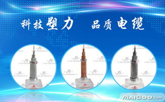 塑力品牌——專(zhuān)業(yè)工程技術(shù)服務(wù)的卓越引領(lǐng)者